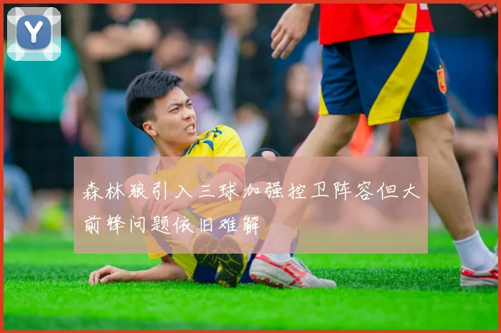 森林狼引入三球加强控卫阵容但大前锋问题依旧难解